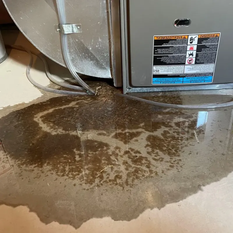 Pipe Burst and Leak Restoration in Hoopers Creek, NC