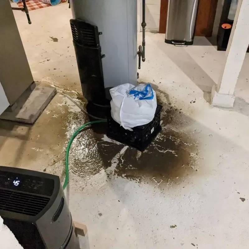 Sewage Backup Cleanup Service in Hoopers Creek, NC